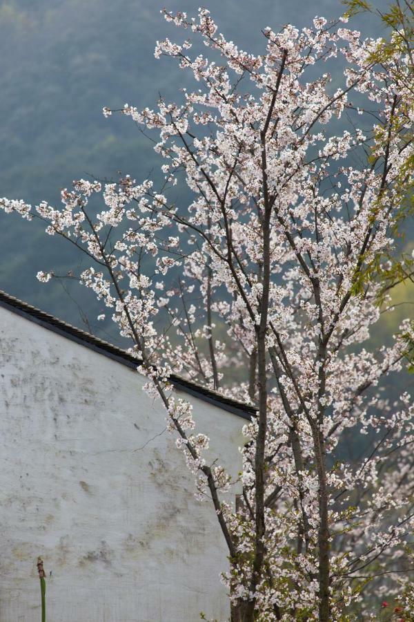Pusen Lanting Shaoxing Otel Dış mekan fotoğraf